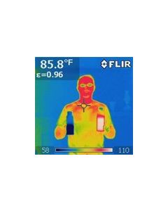 Thermography: Is point and shoot good enough?
